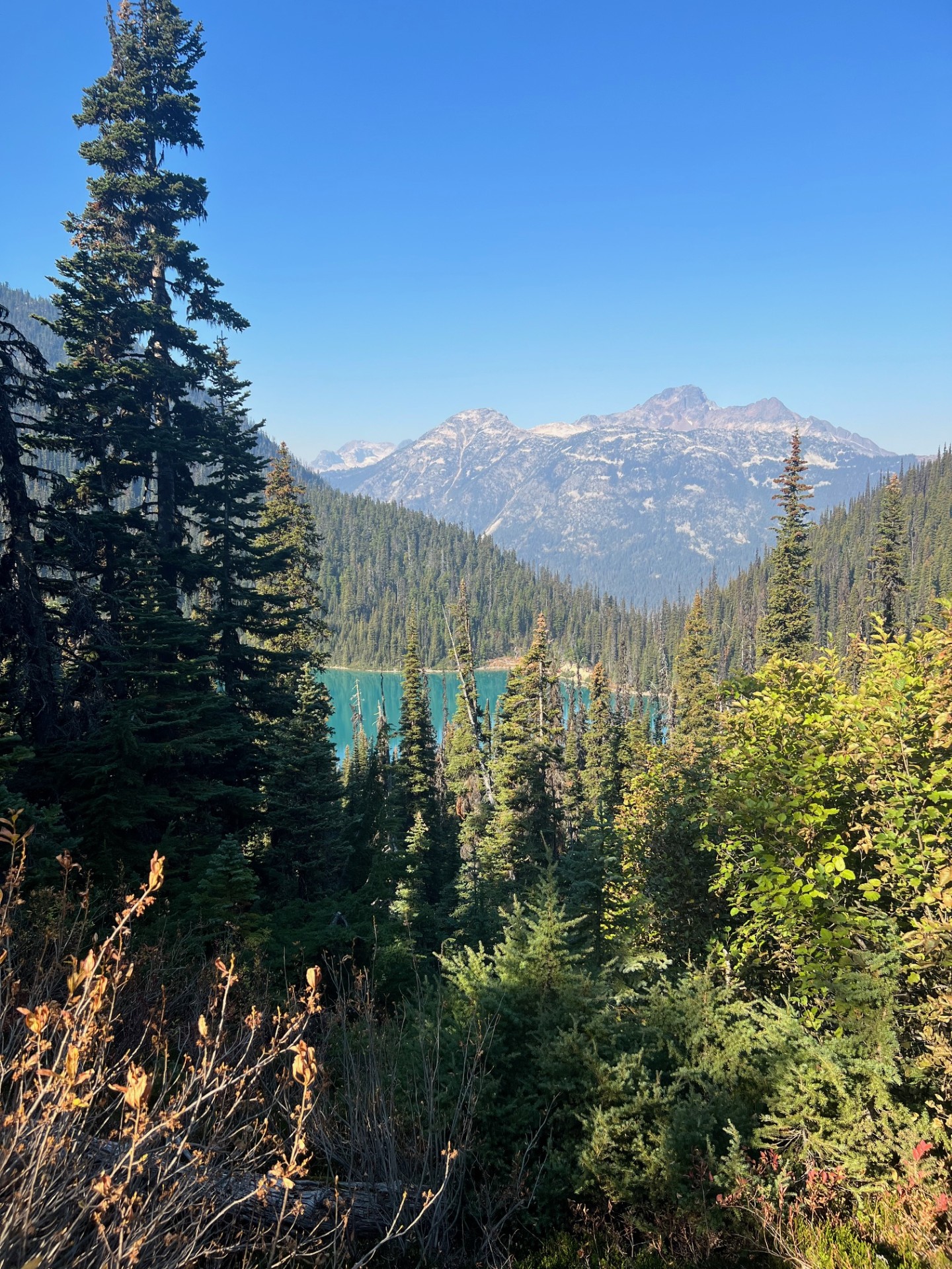 View of the turquoise water of Joffre Lakes Provincial Park framed by the branches of evergreen trees, looking out over the mountain landscape.