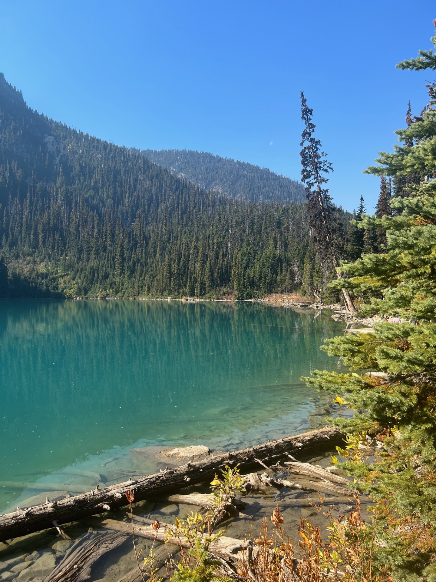 Panoramic view of the vibrant turquoise glacier-fed water at Joffre Lakes Provincial Park under a clear blue summer sky.