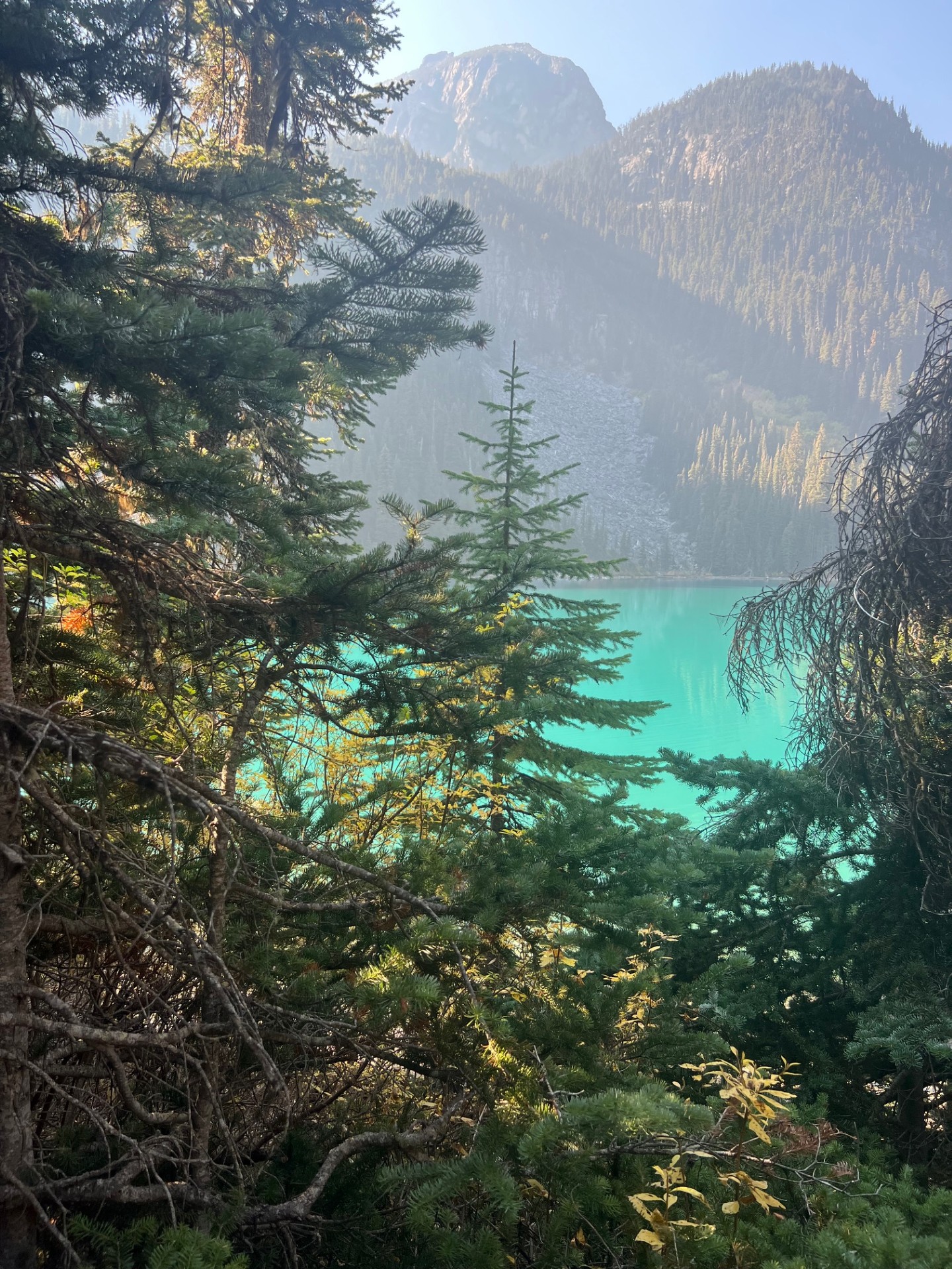 Peering through evergreen branches at the iconic turquoise waters of Joffre Lake in Joffre Lakes Provincial Park.