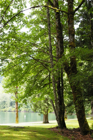 Looking out over Cultus Lake from a forested trail in Cultus Lake Provincial Park.