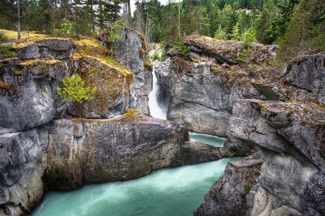 The powerful 60-meter cascading waterfall at Nairn Falls Provincial Park viewed from the forest trail.