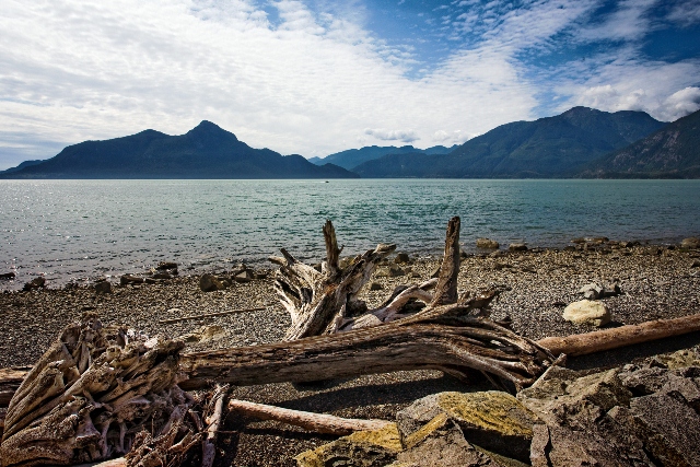 Looking out toward the calm waters of Howe Sound from the beach at Porteau Cove, through a foreground of coastal driftwood.